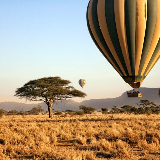 Serengeti balloon safaris