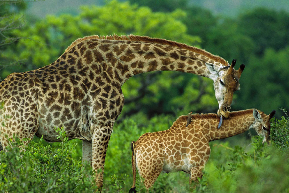 Day Trips Arusha
