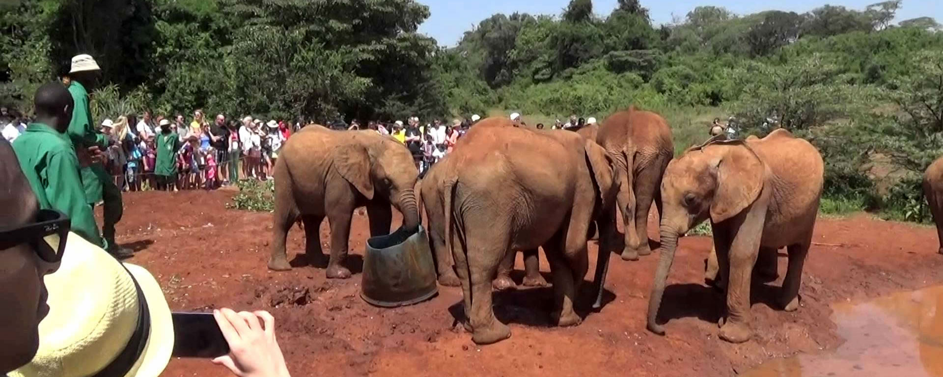 elephant Orphanage