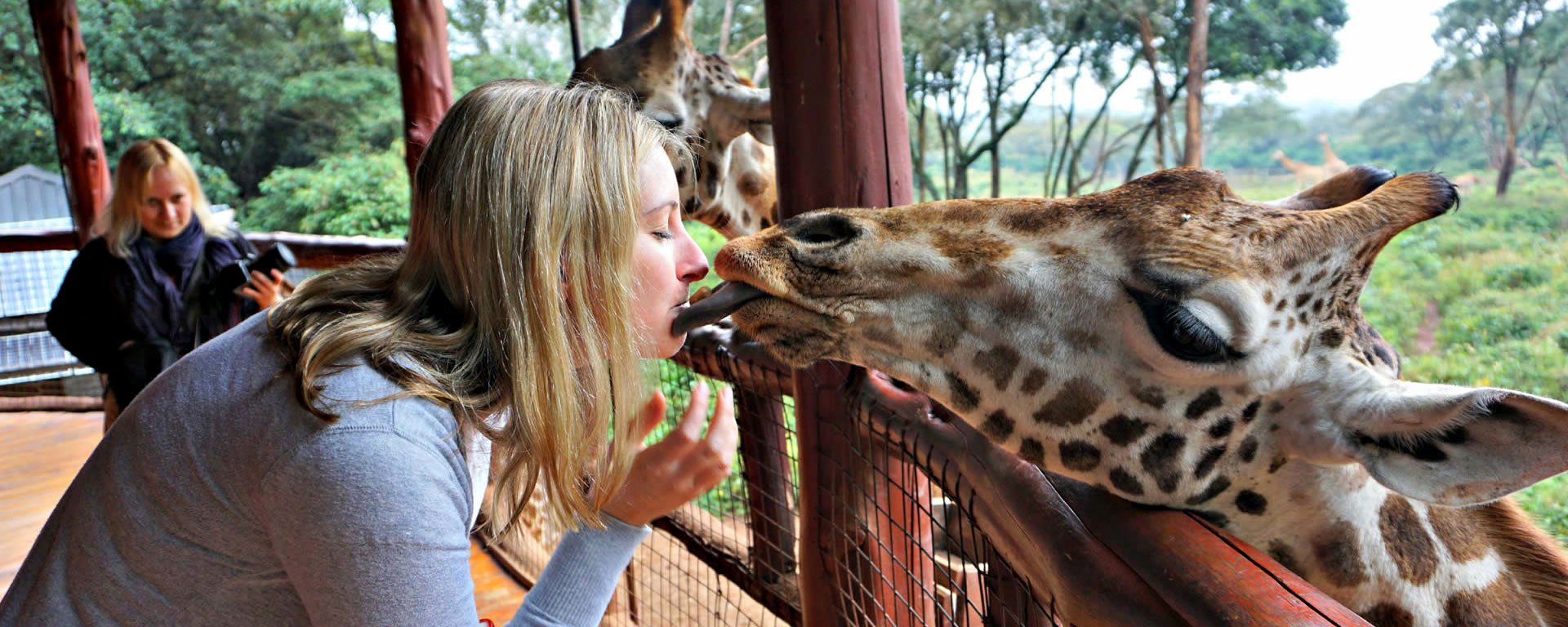 Giraffe Centre