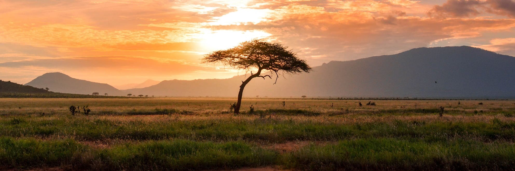 Masai Mara Kenya