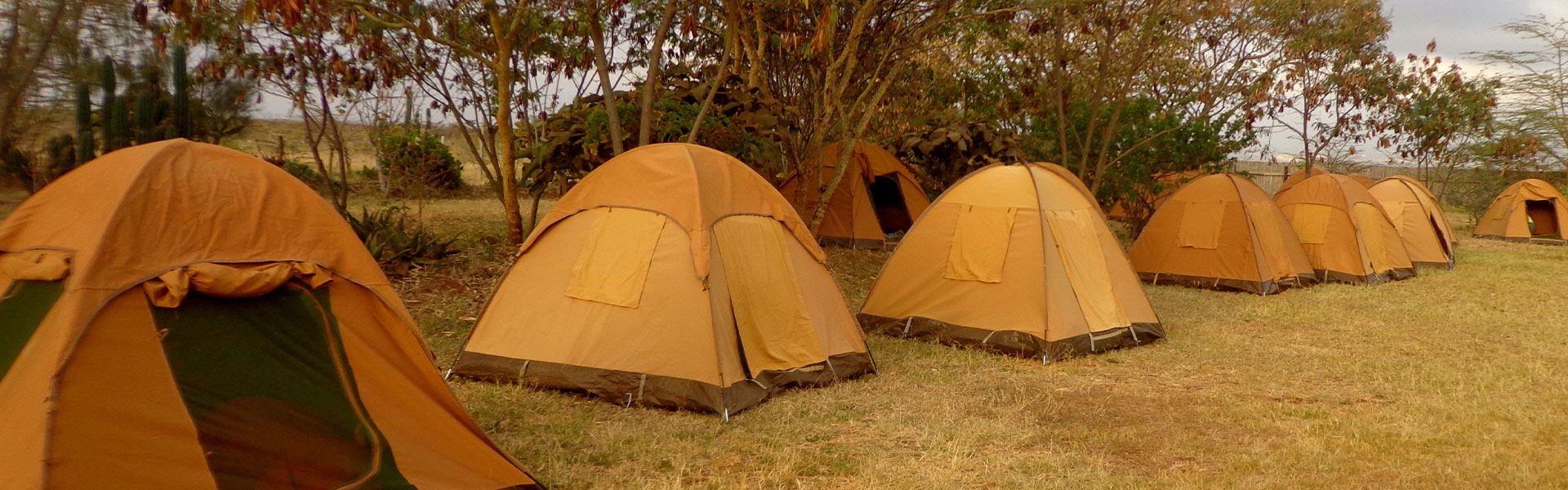 twiga Lodge and campsite