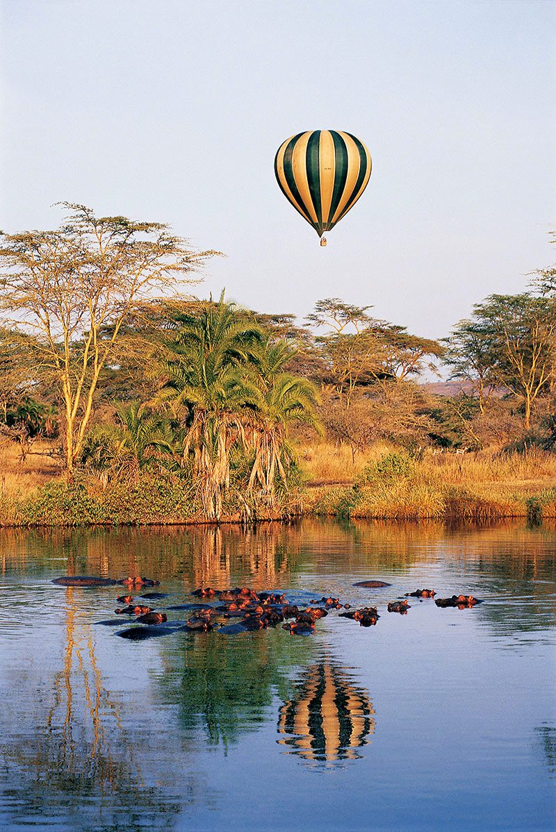 Balloon Serengeti